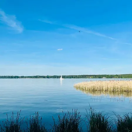 Am Silberberg, באד סארואו